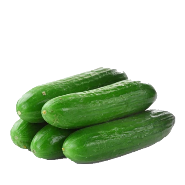 CUCUMBER ASHLEY - Jojemiagroshop