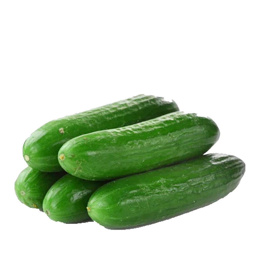 cucumber-ashley-jojemiagroshop